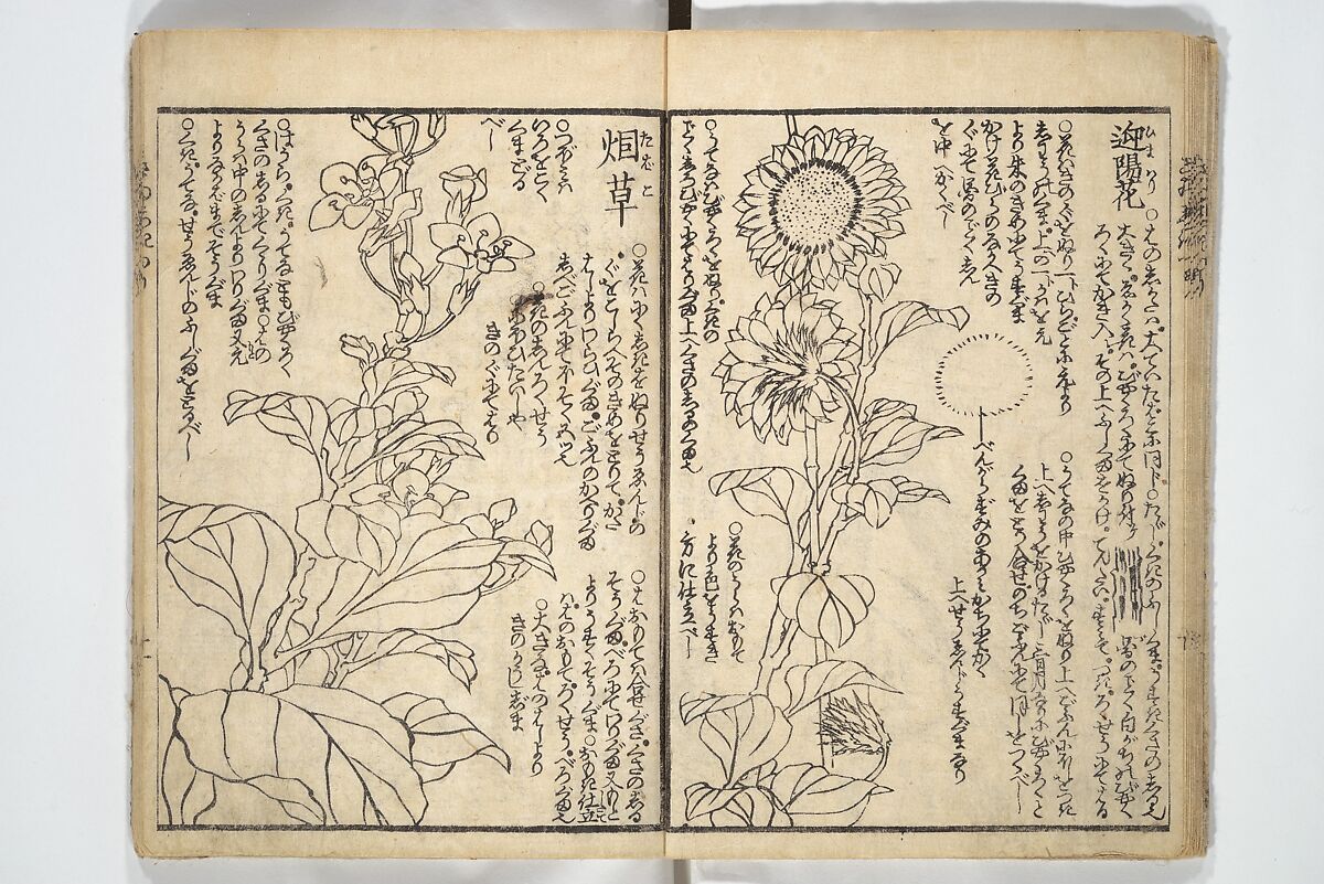 Picture Book on the Use of Coloring, first volume (Ehon saishikitsū shohen) 繪本彩色通 初編, Katsushika Hokusai 葛飾北斎 (Japanese, Tokyo (Edo) 1760–1849 Tokyo (Edo)), Woodblock printed book; ink on paper and color scribbles, Japan
