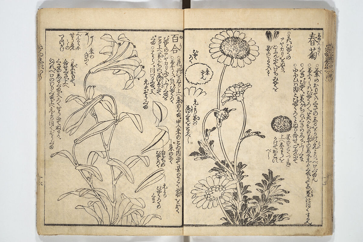 Picture Book on the Use of Coloring, first volume (Ehon saishikitsū shohen) 繪本彩色通 初編, Katsushika Hokusai 葛飾北斎 (Japanese, Tokyo (Edo) 1760–1849 Tokyo (Edo)), Woodblock printed book; ink on paper and color scribbles, Japan 