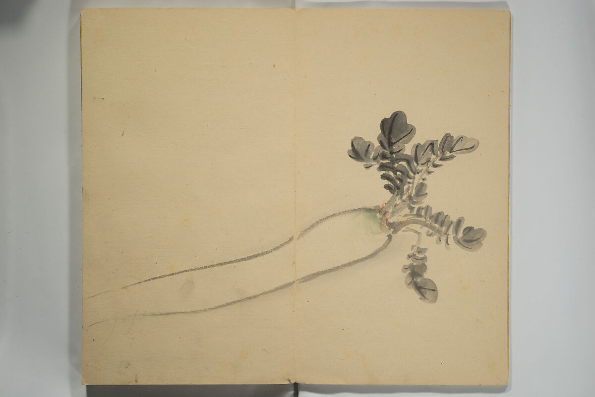 Untitled Picture Album of Twenty-five Watercolor Paintings, Nishiyama Hōen 西山芳園 (Japanese, 1807–1867), Orihon, accordion-style; ink and color on paper, Japan