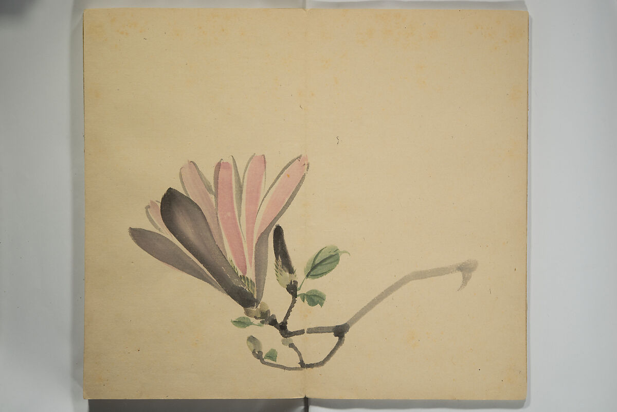 Untitled Picture Album of Twenty-five Watercolor Paintings, Nishiyama Hōen 西山芳園 (Japanese, 1807–1867), Orihon, accordion-style; ink and color on paper, Japan
