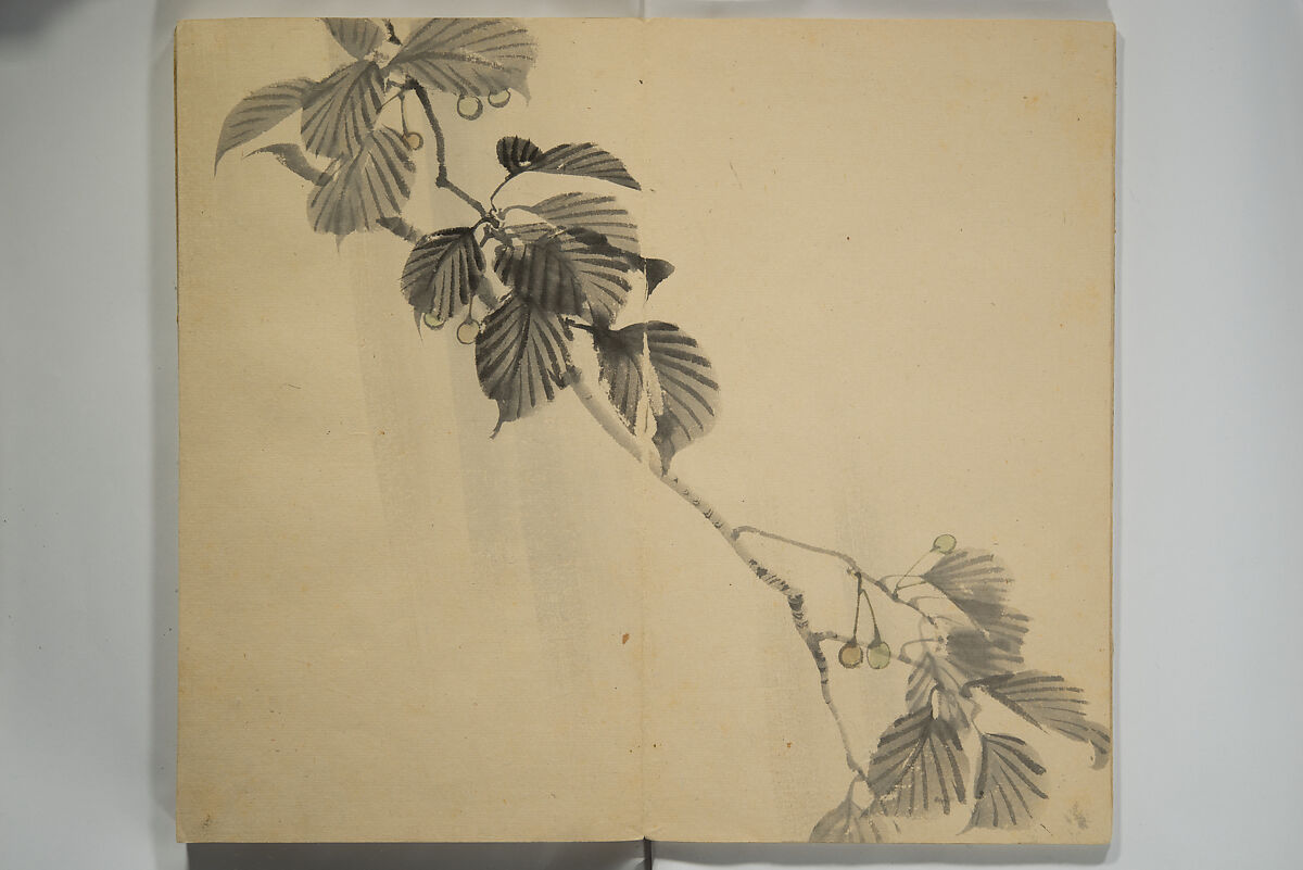 Untitled Picture Album of Twenty-five Watercolor Paintings, Nishiyama Hōen 西山芳園 (Japanese, 1807–1867), Orihon, accordion-style; ink and color on paper, Japan