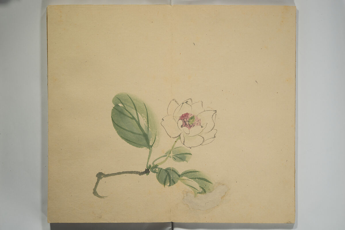 Untitled Picture Album of Twenty-five Watercolor Paintings, Nishiyama Hōen 西山芳園 (Japanese, 1807–1867), Orihon, accordion-style; ink and color on paper, Japan