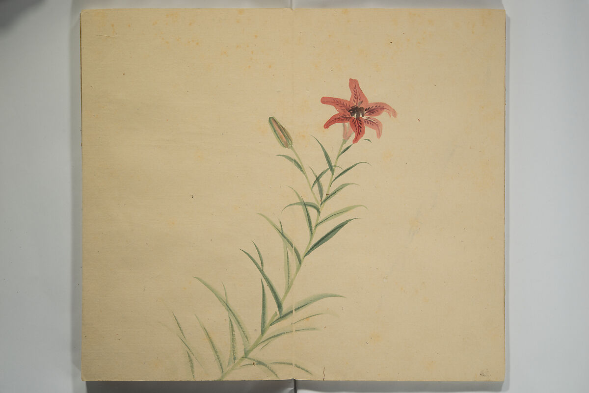 Untitled Picture Album of Twenty-five Watercolor Paintings, Nishiyama Hōen 西山芳園 (Japanese, 1807–1867), Orihon, accordion-style; ink and color on paper, Japan