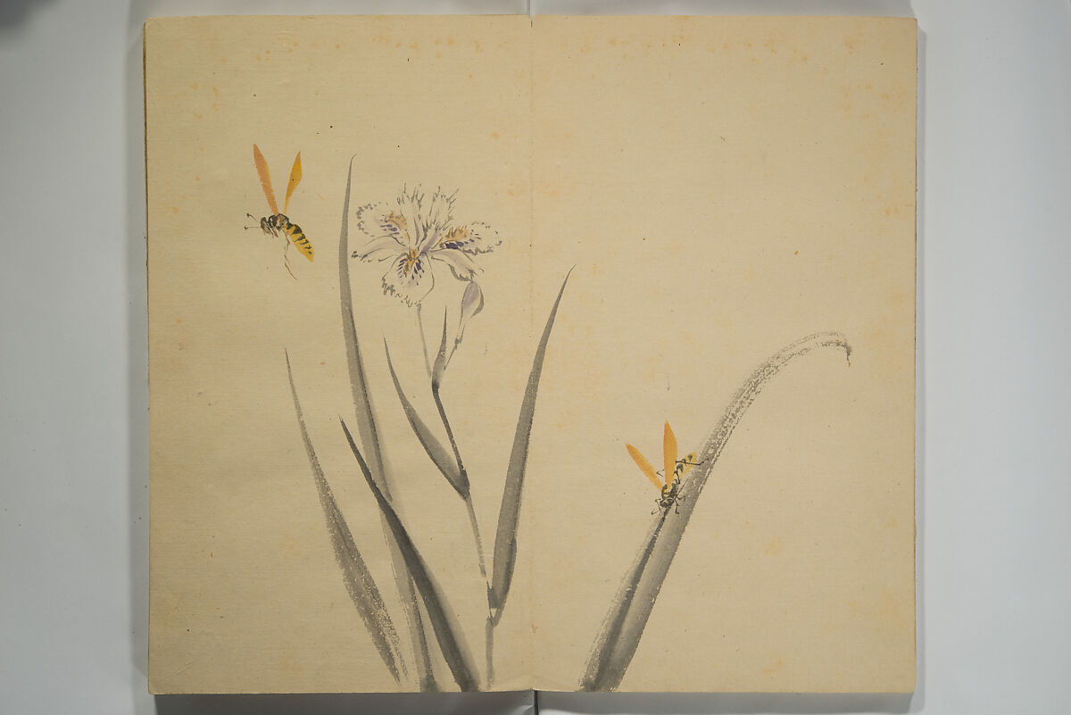 Untitled Picture Album of Twenty-five Watercolor Paintings, Nishiyama Hōen 西山芳園 (Japanese, 1807–1867), Orihon, accordion-style; ink and color on paper, Japan