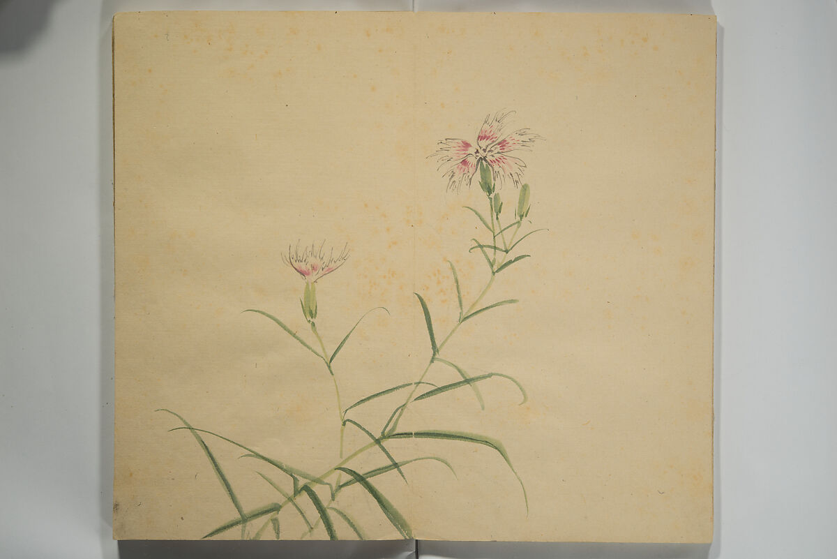 Untitled Picture Album of Twenty-five Watercolor Paintings, Nishiyama Hōen 西山芳園 (Japanese, 1807–1867), Orihon, accordion-style; ink and color on paper, Japan