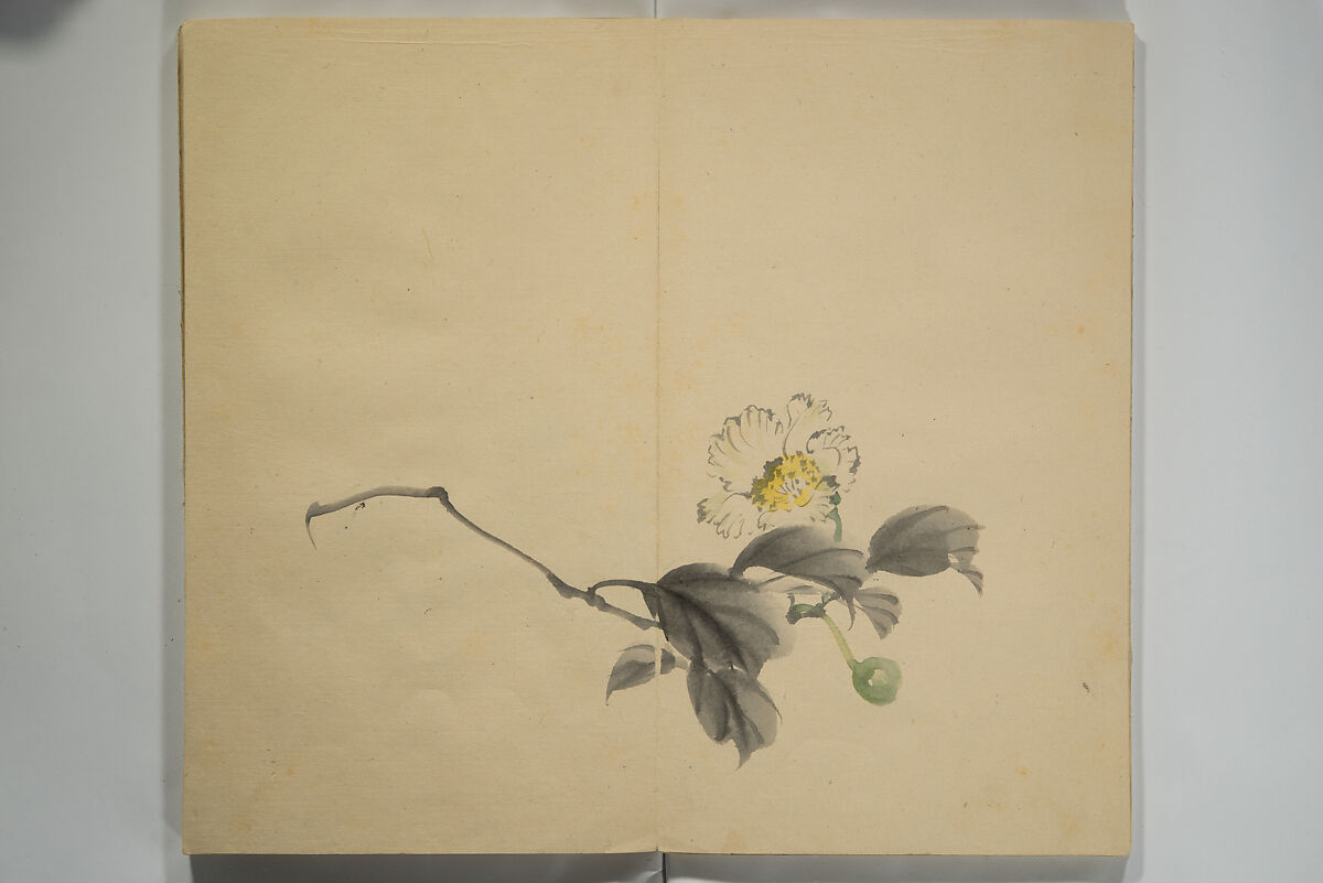 Untitled Picture Album of Twenty-five Watercolor Paintings, Nishiyama Hōen 西山芳園 (Japanese, 1807–1867), Orihon, accordion-style; ink and color on paper, Japan