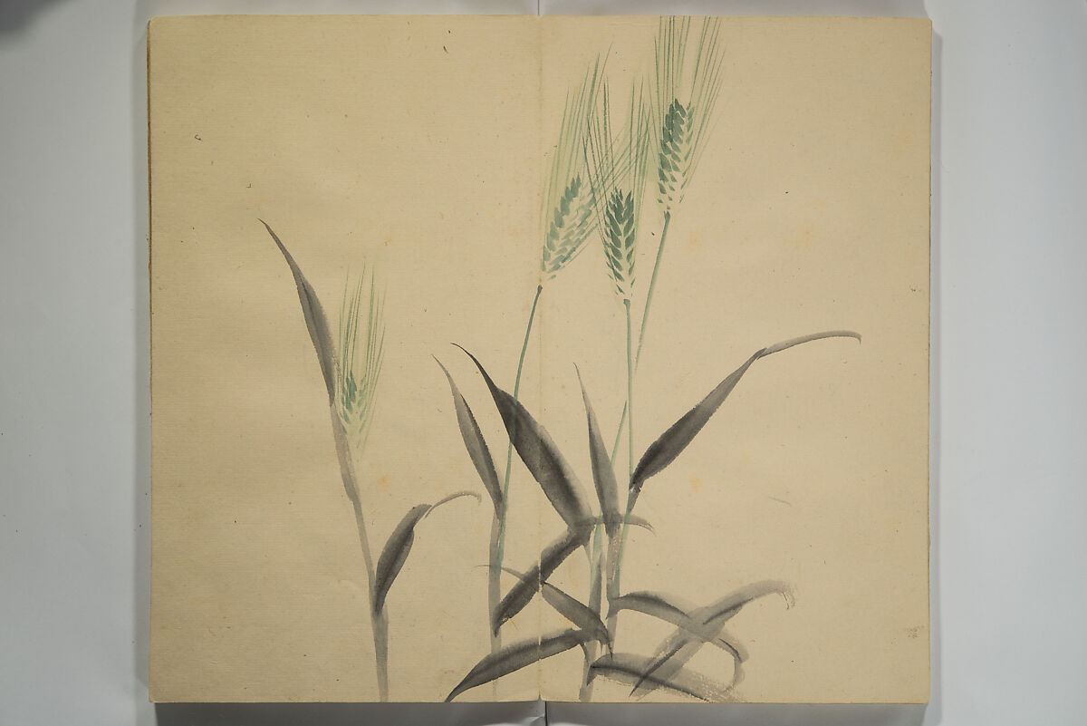 Untitled Picture Album of Twenty-five Watercolor Paintings, Nishiyama Hōen 西山芳園 (Japanese, 1807–1867), Orihon, accordion-style; ink and color on paper, Japan