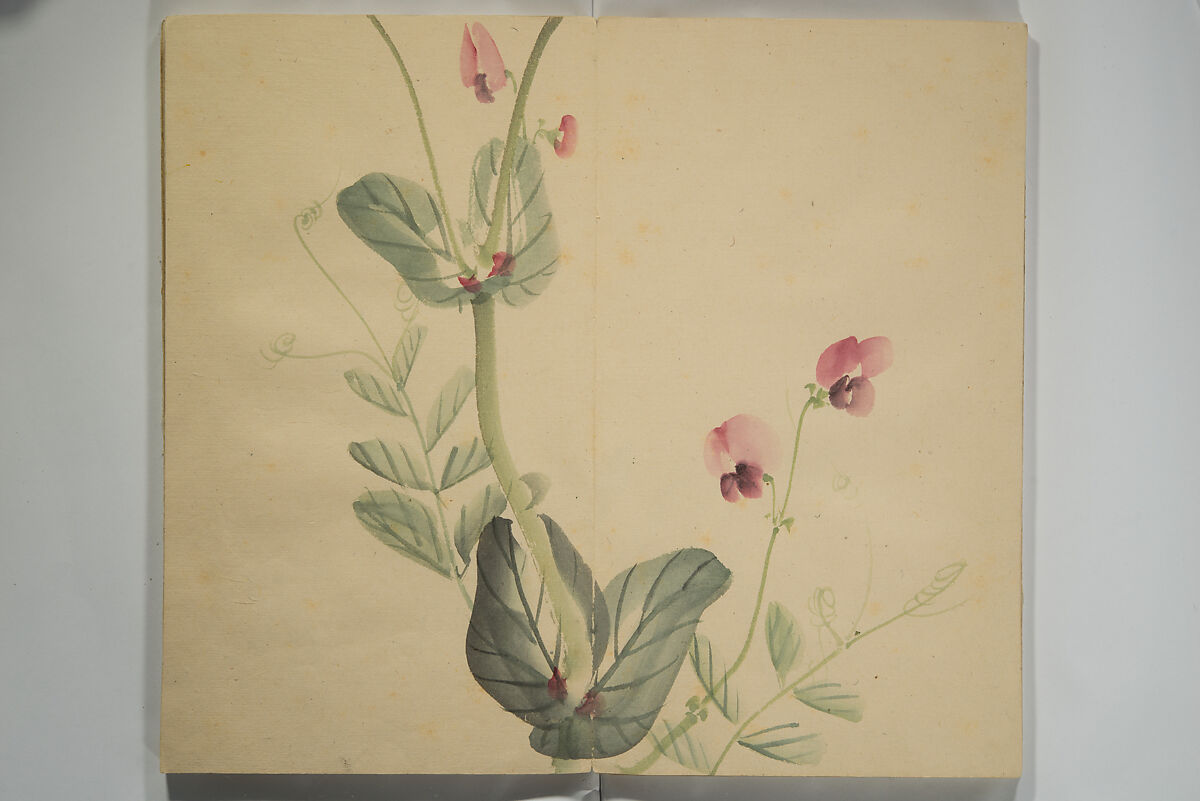 Untitled Picture Album of Twenty-five Watercolor Paintings, Nishiyama Hōen 西山芳園 (Japanese, 1807–1867), Orihon, accordion-style; ink and color on paper, Japan
