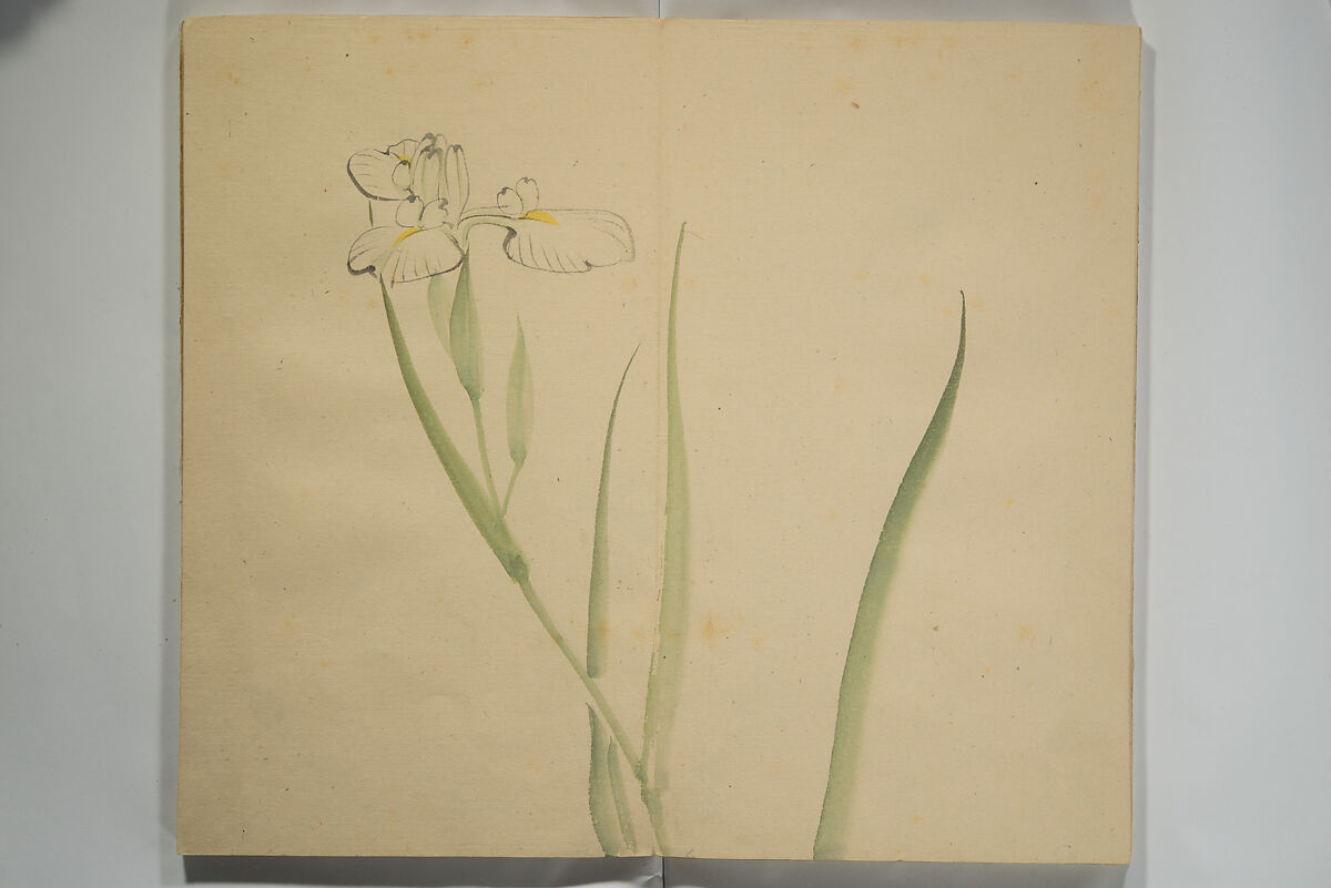 Untitled Picture Album of Twenty-five Watercolor Paintings, Nishiyama Hōen 西山芳園 (Japanese, 1807–1867), Orihon, accordion-style; ink and color on paper, Japan