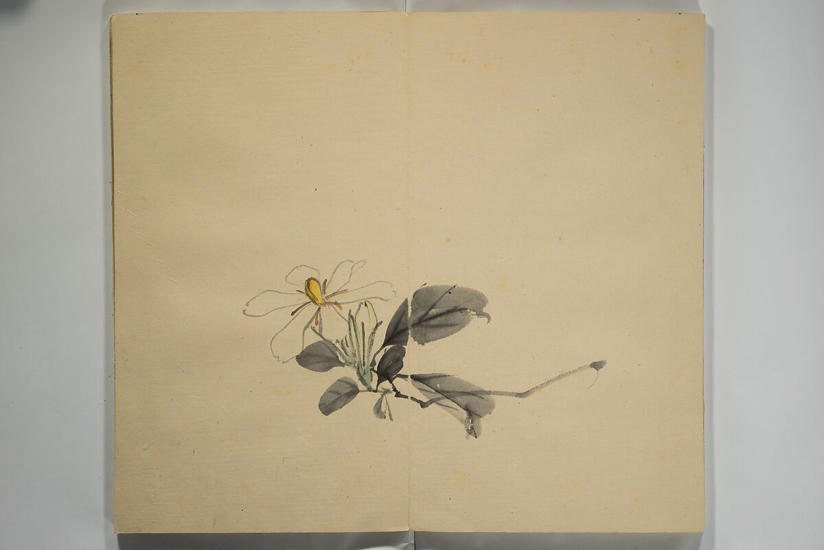 Untitled Picture Album of Twenty-five Watercolor Paintings, Nishiyama Hōen 西山芳園 (Japanese, 1807–1867), Orihon, accordion-style; ink and color on paper, Japan