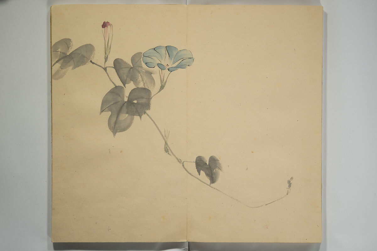 Untitled Picture Album of Twenty-five Watercolor Paintings, Nishiyama Hōen 西山芳園 (Japanese, 1807–1867), Orihon, accordion-style; ink and color on paper, Japan