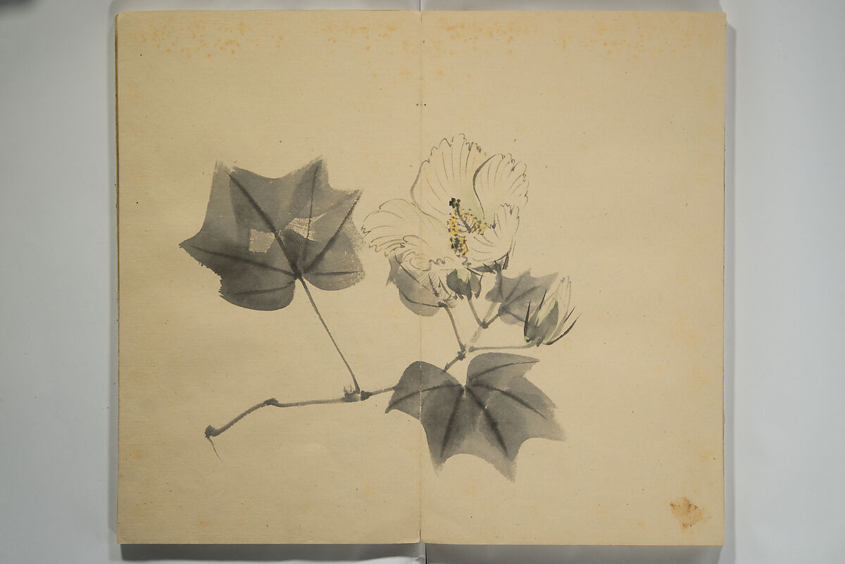 Untitled Picture Album of Twenty-five Watercolor Paintings, Nishiyama Hōen 西山芳園 (Japanese, 1807–1867), Orihon, accordion-style; ink and color on paper, Japan