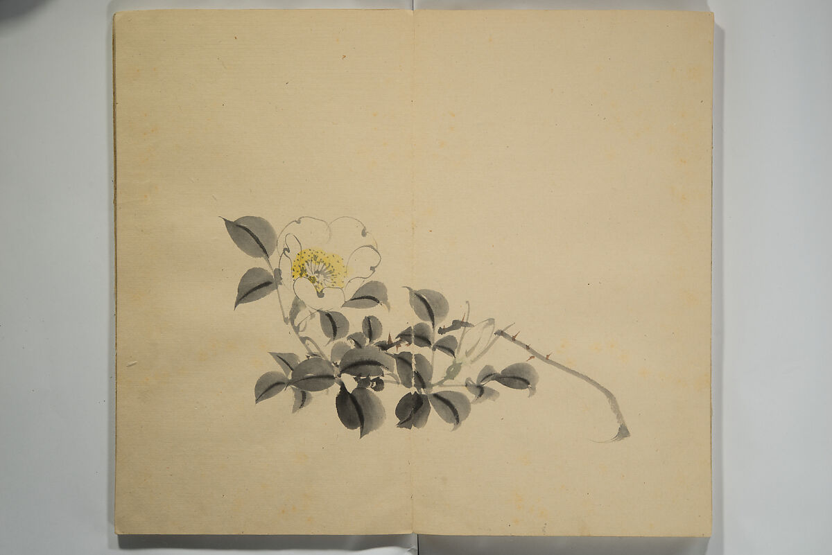 Untitled Picture Album of Twenty-five Watercolor Paintings, Nishiyama Hōen 西山芳園 (Japanese, 1807–1867), Orihon, accordion-style; ink and color on paper, Japan