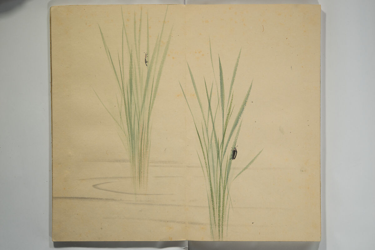 Untitled Picture Album of Twenty-five Watercolor Paintings, Nishiyama Hōen 西山芳園 (Japanese, 1807–1867), Orihon, accordion-style; ink and color on paper, Japan