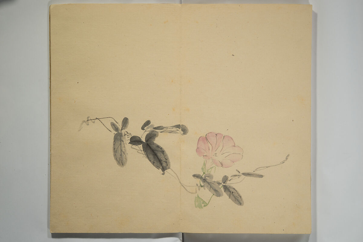Untitled Picture Album of Twenty-five Watercolor Paintings, Nishiyama Hōen 西山芳園 (Japanese, 1807–1867), Orihon, accordion-style; ink and color on paper, Japan