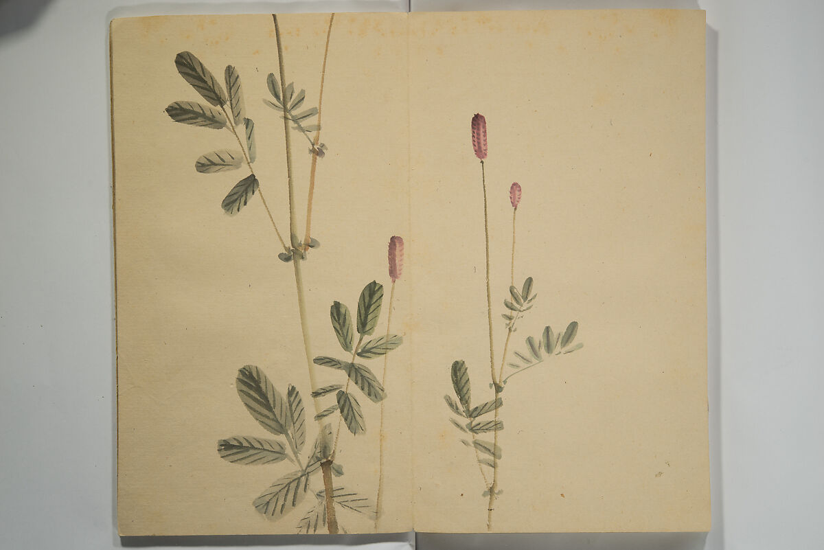 Untitled Picture Album of Twenty-five Watercolor Paintings, Nishiyama Hōen 西山芳園 (Japanese, 1807–1867), Orihon, accordion-style; ink and color on paper, Japan