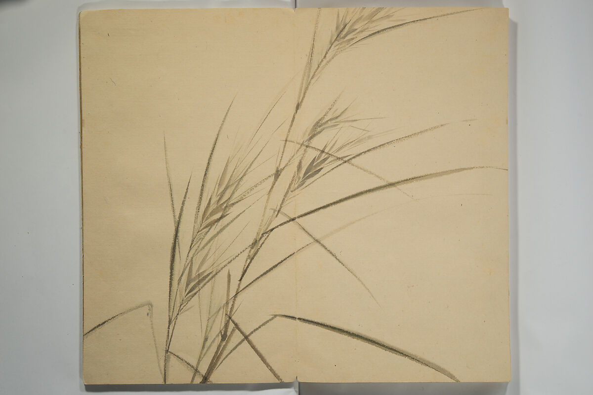 Untitled Picture Album of Twenty-five Watercolor Paintings, Nishiyama Hōen 西山芳園 (Japanese, 1807–1867), Orihon, accordion-style; ink and color on paper, Japan