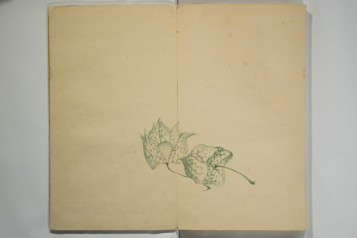 Untitled Picture Album of Twenty-five Watercolor Paintings, Nishiyama Hōen 西山芳園 (Japanese, 1807–1867), Orihon, accordion-style; ink and color on paper, Japan