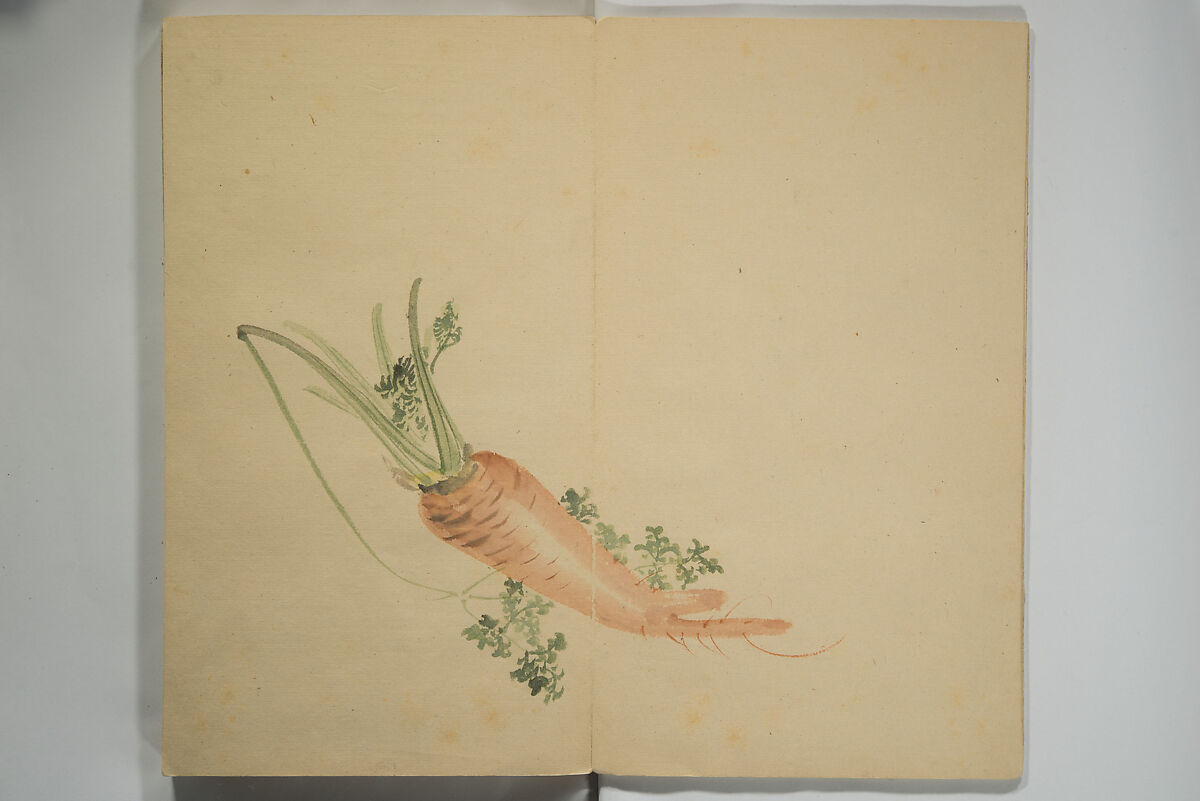 Untitled Picture Album of Twenty-five Watercolor Paintings, Nishiyama Hōen 西山芳園 (Japanese, 1807–1867), Orihon, accordion-style; ink and color on paper, Japan 