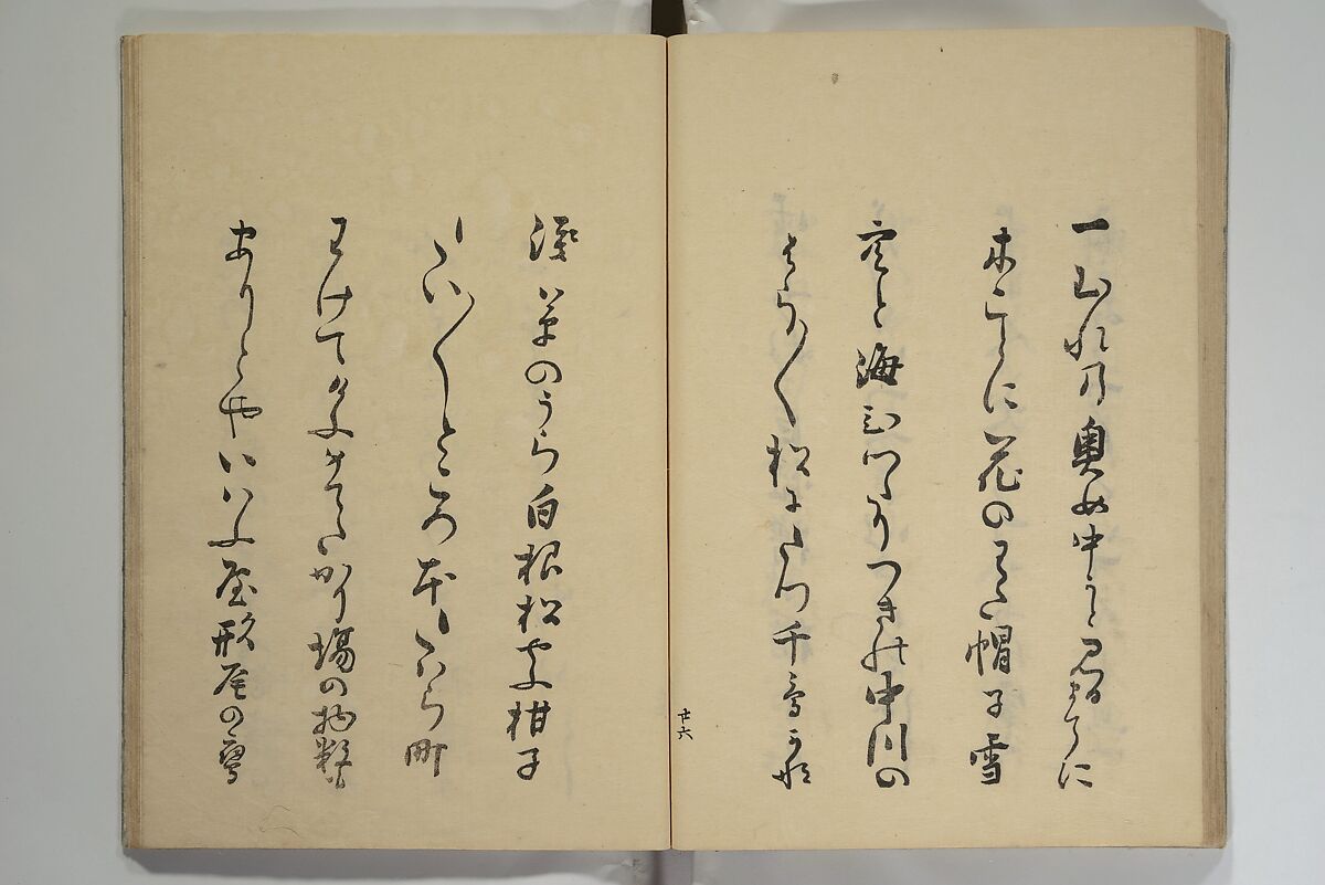 The Nanpo Album (Nanpo jō)  南畝帖, Nagayama Kōin (Hirotora) 長山孔寅画・蜀山人 (Japanese, 1765–1849), Woodblock printed book; ink and color on paper, Japan