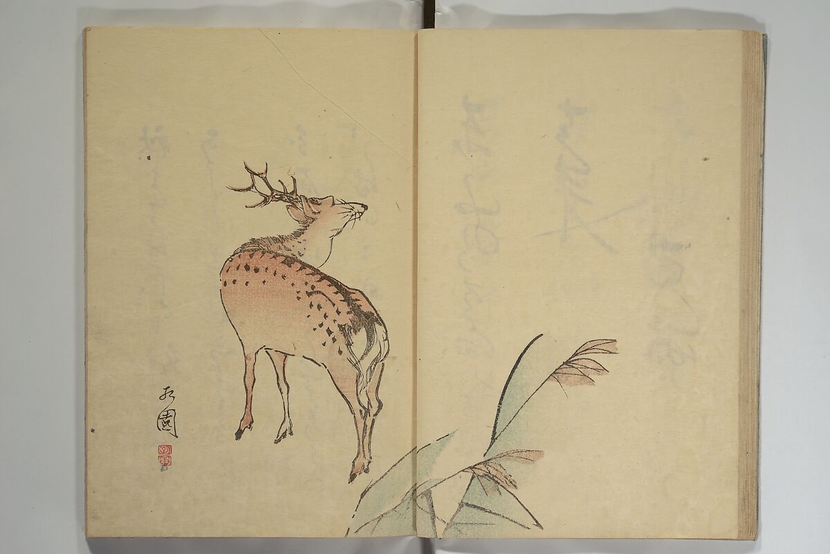 The Nanpo Album (Nanpo jō)  南畝帖, Nagayama Kōin (Hirotora) 長山孔寅画・蜀山人 (Japanese, 1765–1849), Woodblock printed book; ink and color on paper, Japan