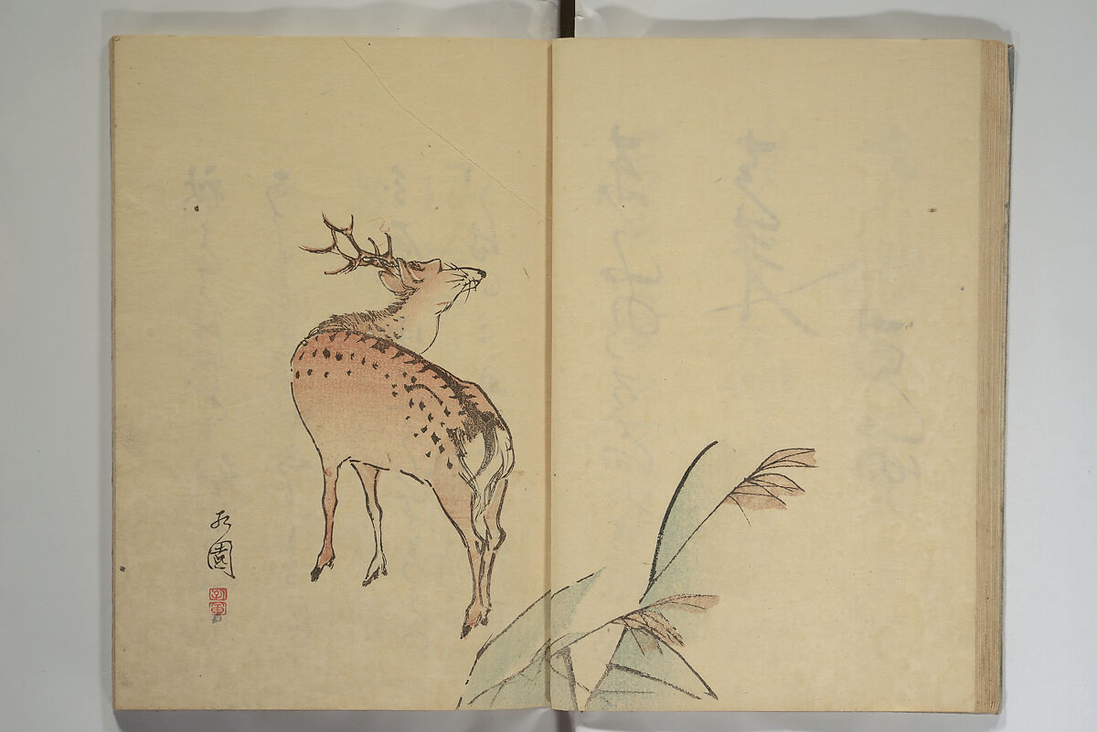 The Nanpo Album (Nanpo jō)  南畝帖, Nagayama Kōin (Hirotora) 長山孔寅画・蜀山人  Japanese, Woodblock printed book; ink and color on paper, Japan