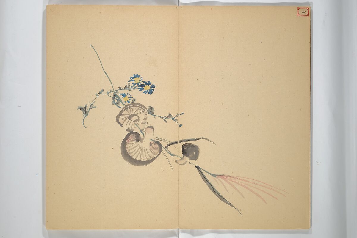 Album [of works] by the master Koiso Zensetsusō (complete) (Koiso Zensentsusō sensei gajō-kan) 小磯前雪窓先生画帖完, Koiso Zensetsusō 小磯前雪窓 (Japanese, 1832–1902), Accordion album; ink and color on paper, Japan