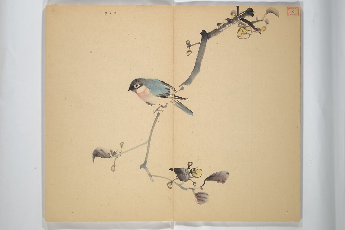Album [of works] by the master Koiso Zensetsusō (complete) (Koiso Zensentsusō sensei gajō-kan) 小磯前雪窓先生画帖完, Koiso Zensetsusō 小磯前雪窓 (Japanese, 1832–1902), Accordion album; ink and color on paper, Japan