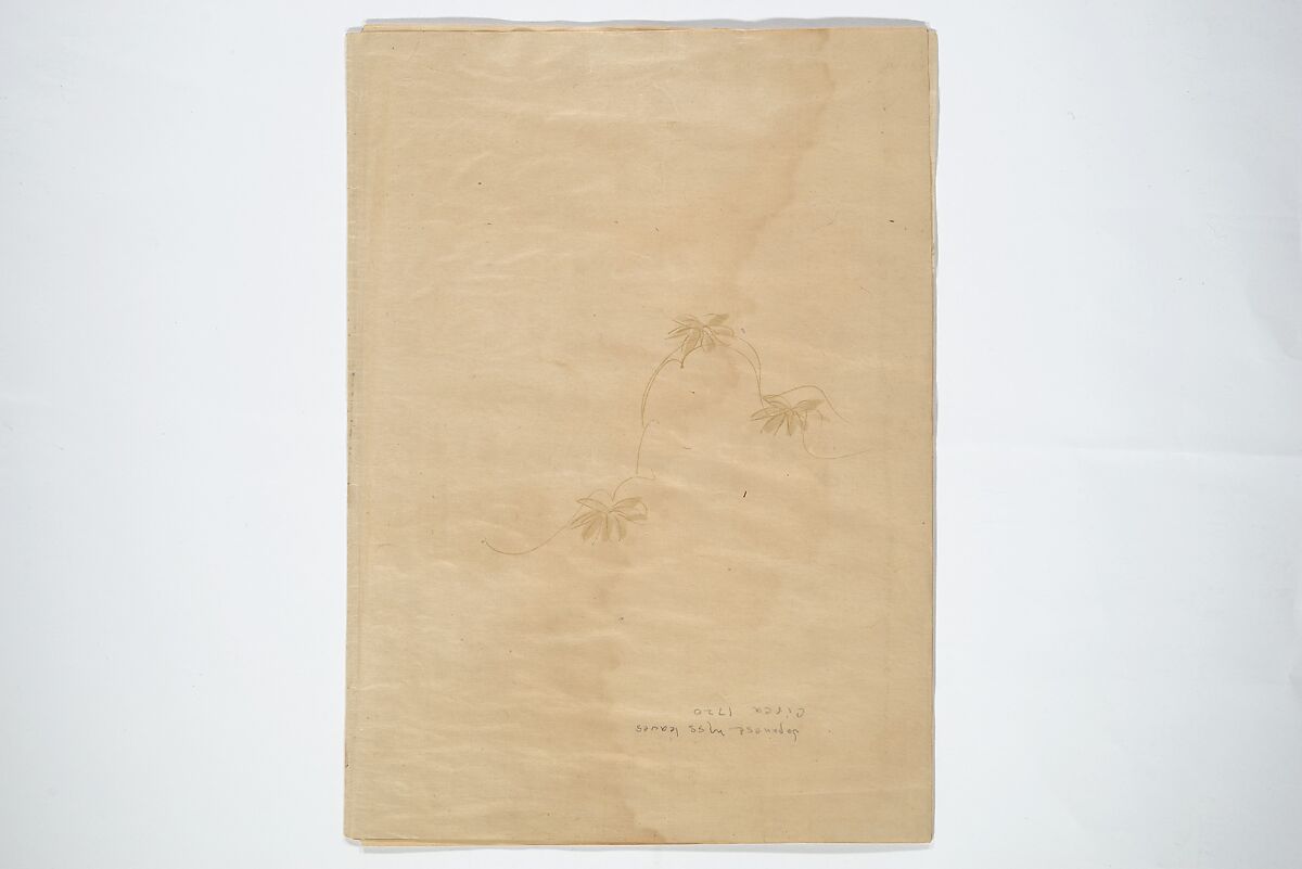 Extract of Manuscript Leaves, Four manuscript pages; ink and metallic pigments (gold) on paper, Japan