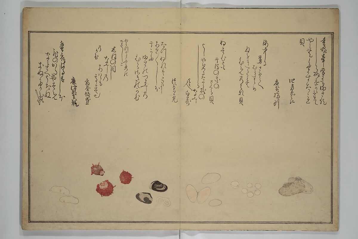 Gifts of the Ebb Tide (The Shell Book) (Shiohi no tsuto) 潮干のつと(都登), Kitagawa Utamaro 喜多川歌麿 (Japanese, ca. 1754–1806), Woodblock printed book (orihon, accordion-style); ink, color, mica, and gold-leaf on paper, Japan