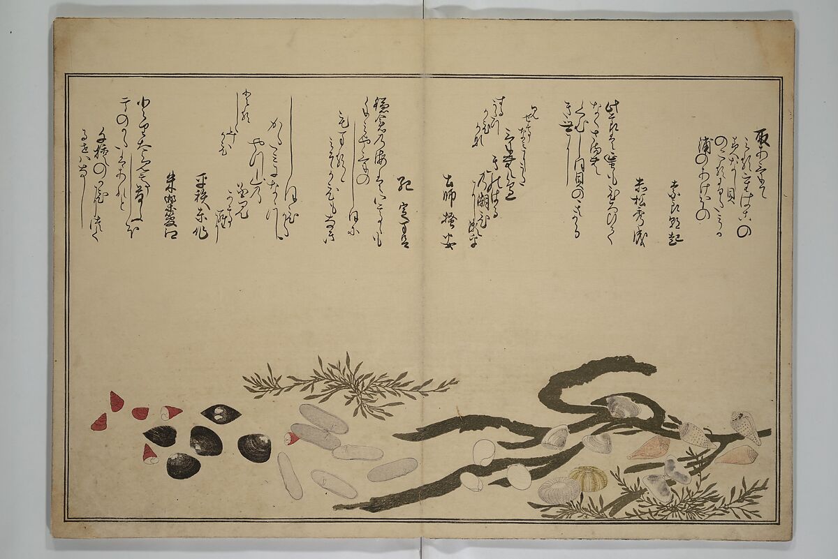 Gifts of the Ebb Tide (The Shell Book) (Shiohi no tsuto) 潮干のつと(都登), Kitagawa Utamaro 喜多川歌麿 (Japanese, ca. 1754–1806), Woodblock printed book (orihon, accordion-style); ink, color, mica, and gold-leaf on paper, Japan