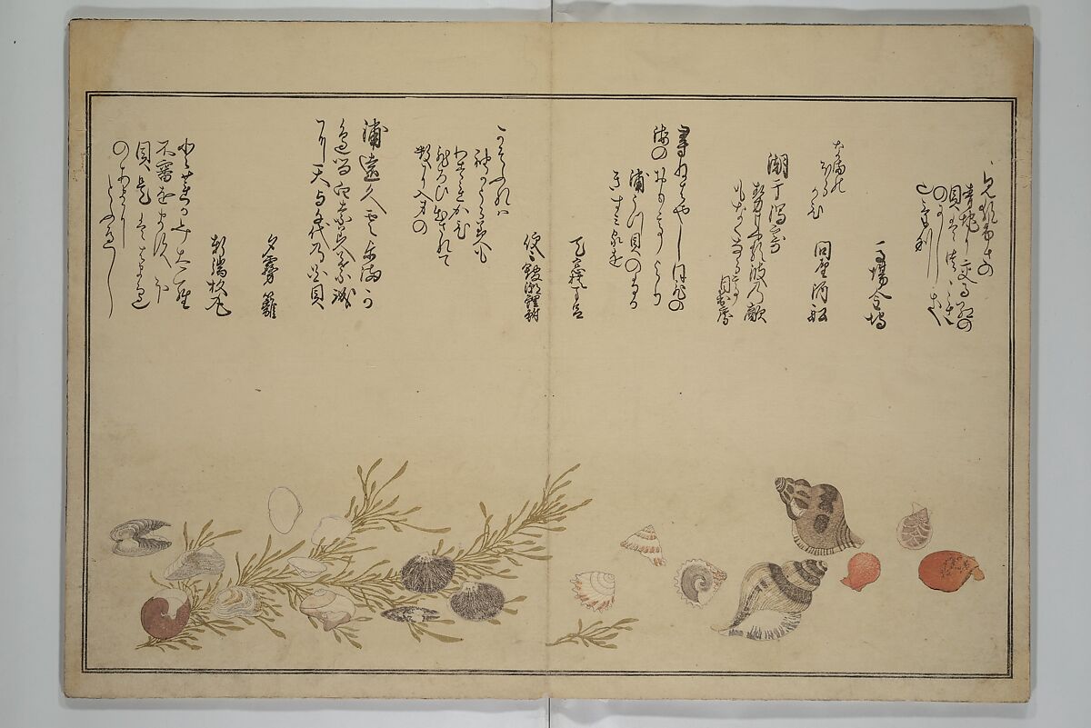Gifts of the Ebb Tide (The Shell Book) (Shiohi no tsuto) 潮干のつと(都登), Kitagawa Utamaro 喜多川歌麿 (Japanese, ca. 1754–1806), Woodblock printed book (orihon, accordion-style); ink, color, mica, and gold-leaf on paper, Japan