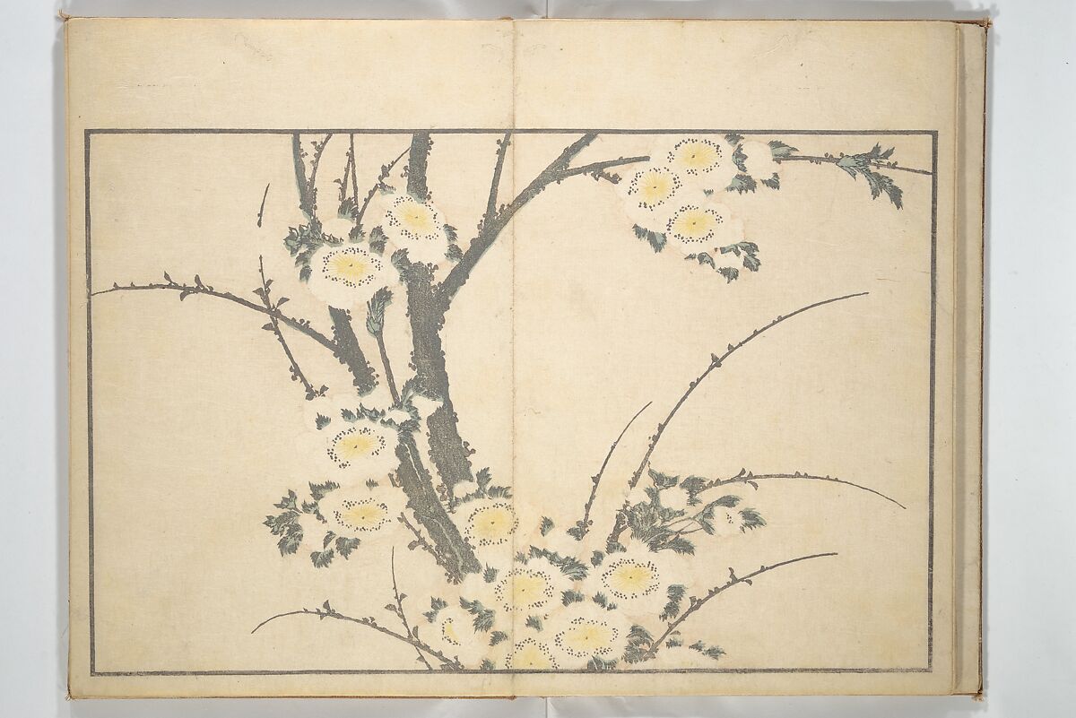 A Realistic Sketchbook by Hokusai (Hokusai shashin gafu) 北斎写真画譜, Katsushika Hokusai 葛飾北斎 (Japanese, Tokyo (Edo) 1760–1849 Tokyo (Edo)), Woodblock printed book (orihon, accordion-style); ink and color on paper, Japan