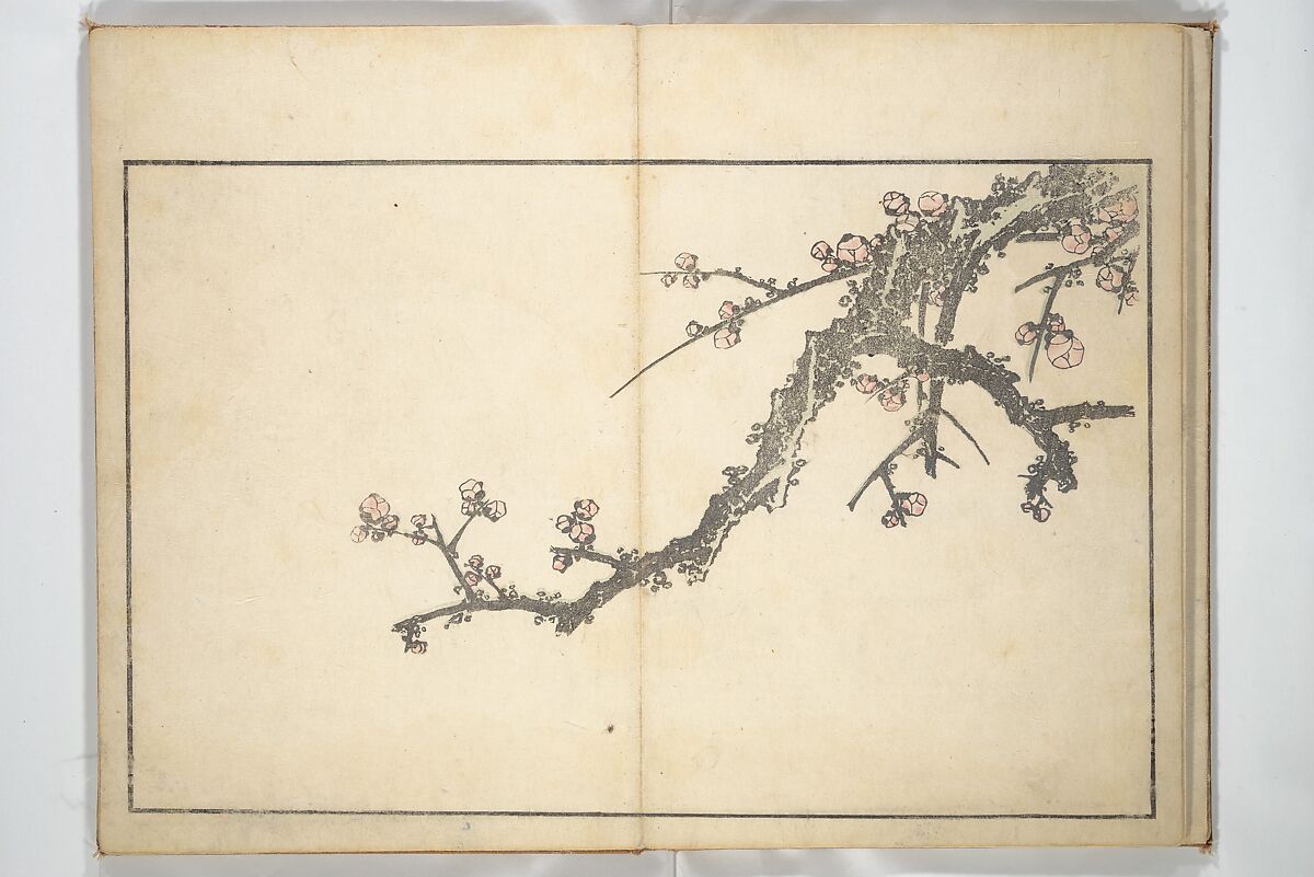 A Realistic Sketchbook by Hokusai (Hokusai shashin gafu) 北斎写真画譜, Katsushika Hokusai 葛飾北斎 (Japanese, Tokyo (Edo) 1760–1849 Tokyo (Edo)), Woodblock printed book (orihon, accordion-style); ink and color on paper, Japan