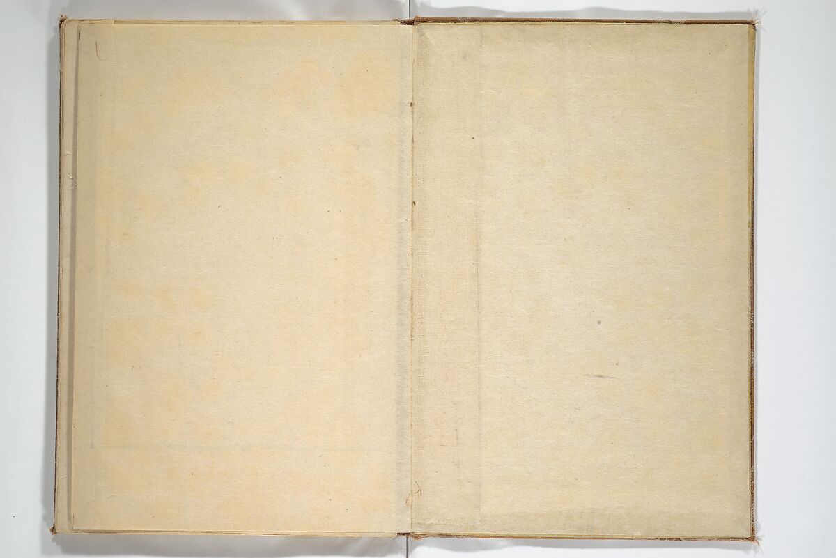 A Realistic Sketchbook by Hokusai (Hokusai shashin gafu) 北斎写真画譜, Katsushika Hokusai 葛飾北斎 (Japanese, Tokyo (Edo) 1760–1849 Tokyo (Edo)), Woodblock printed book (orihon, accordion-style); ink and color on paper, Japan