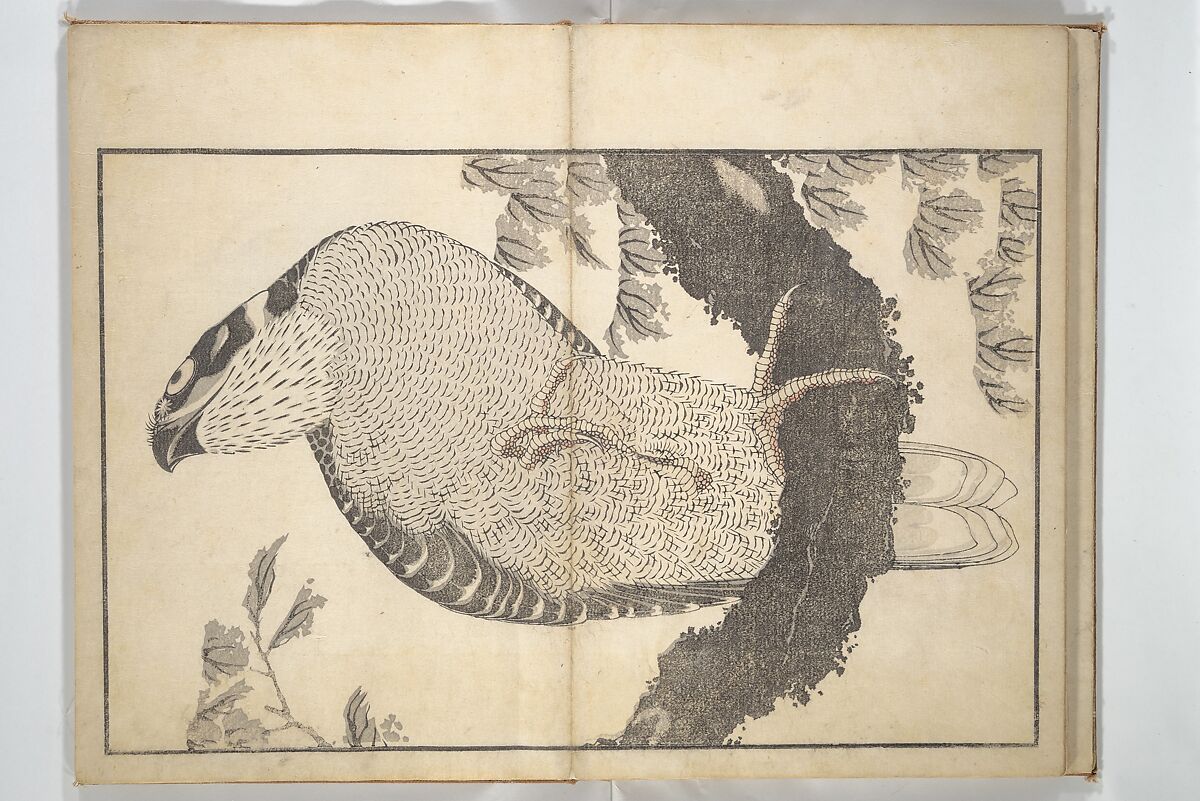 A Realistic Sketchbook by Hokusai (Hokusai shashin gafu) 北斎写真画譜, Katsushika Hokusai 葛飾北斎 (Japanese, Tokyo (Edo) 1760–1849 Tokyo (Edo)), Woodblock printed book (orihon, accordion-style); ink and color on paper, Japan