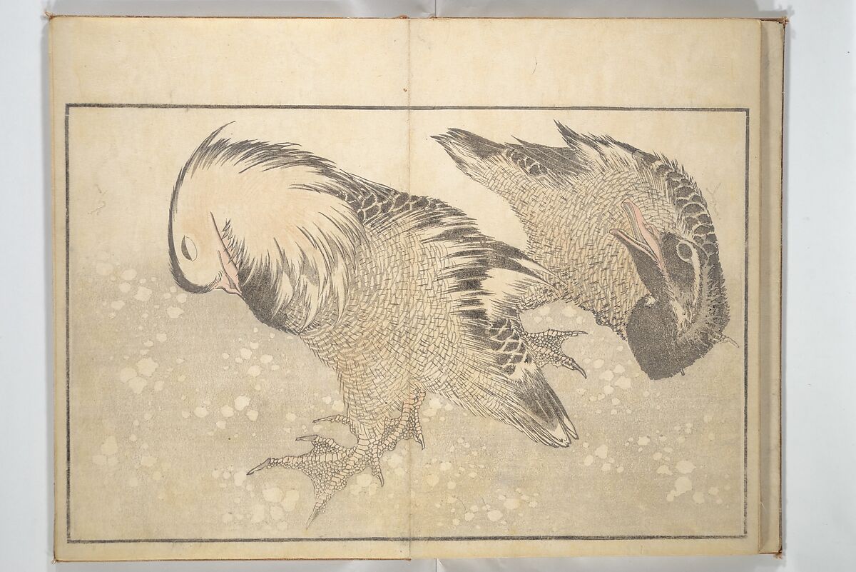 A Realistic Sketchbook by Hokusai (Hokusai shashin gafu) 北斎写真画譜, Katsushika Hokusai 葛飾北斎 (Japanese, Tokyo (Edo) 1760–1849 Tokyo (Edo)), Woodblock printed book (orihon, accordion-style); ink and color on paper, Japan