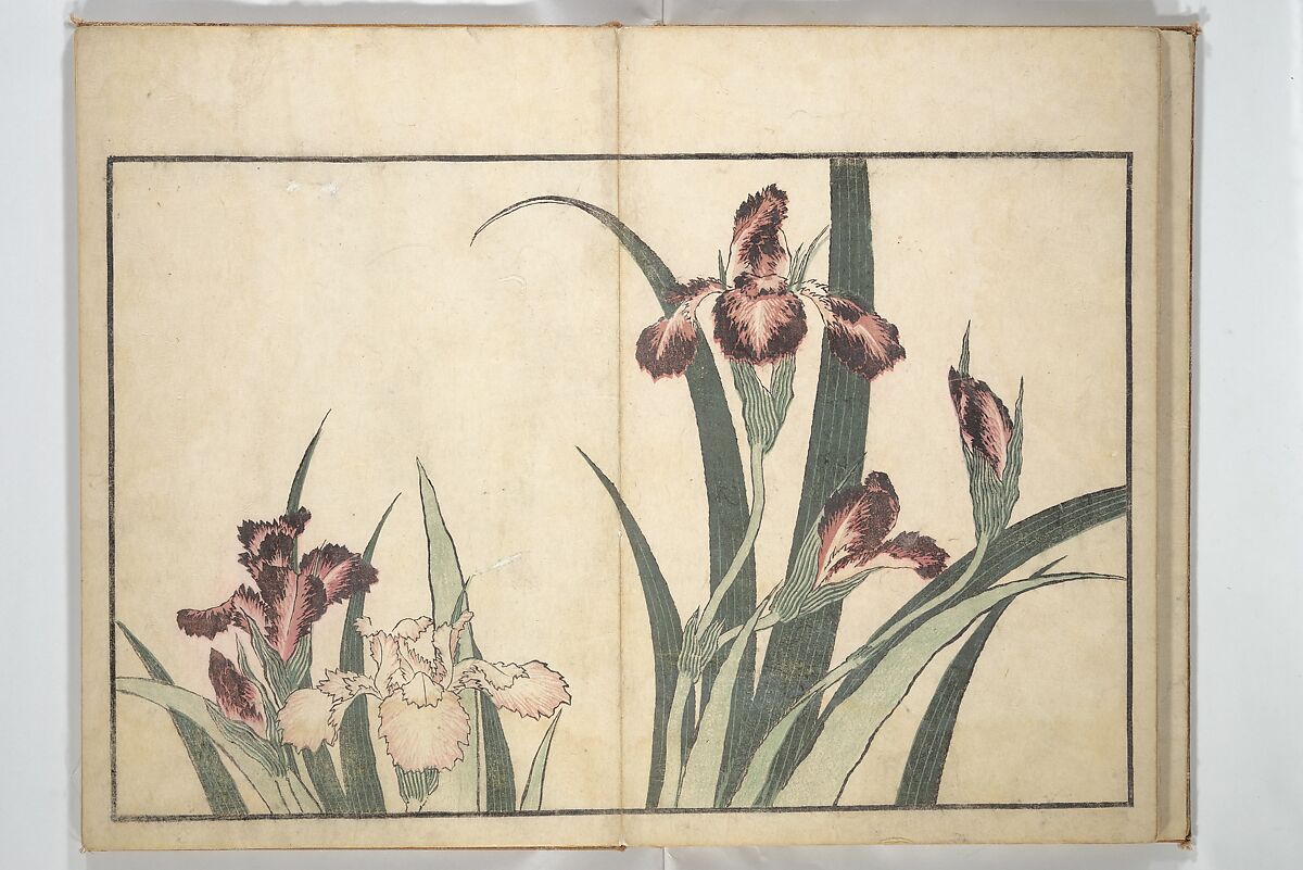 A Realistic Sketchbook by Hokusai (Hokusai shashin gafu) 北斎写真画譜, Katsushika Hokusai 葛飾北斎 (Japanese, Tokyo (Edo) 1760–1849 Tokyo (Edo)), Woodblock printed book (orihon, accordion-style); ink and color on paper, Japan