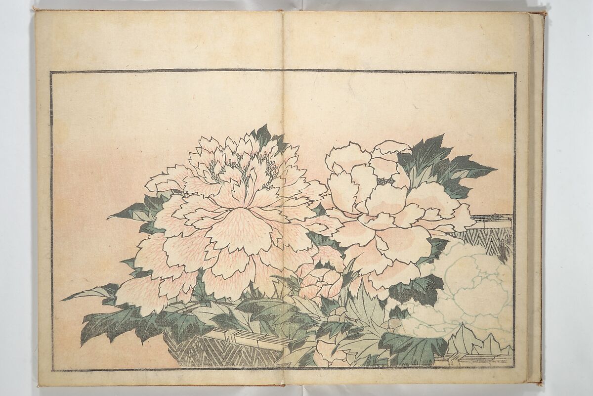 A Realistic Sketchbook by Hokusai (Hokusai shashin gafu) 北斎写真画譜, Katsushika Hokusai 葛飾北斎 (Japanese, Tokyo (Edo) 1760–1849 Tokyo (Edo)), Woodblock printed book (orihon, accordion-style); ink and color on paper, Japan