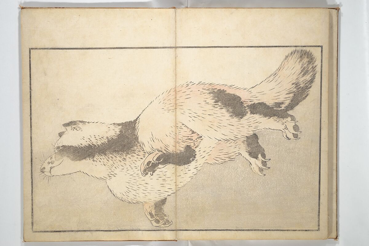 A Realistic Sketchbook by Hokusai (Hokusai shashin gafu) 北斎写真画譜, Katsushika Hokusai 葛飾北斎 (Japanese, Tokyo (Edo) 1760–1849 Tokyo (Edo)), Woodblock printed book (orihon, accordion-style); ink and color on paper, Japan