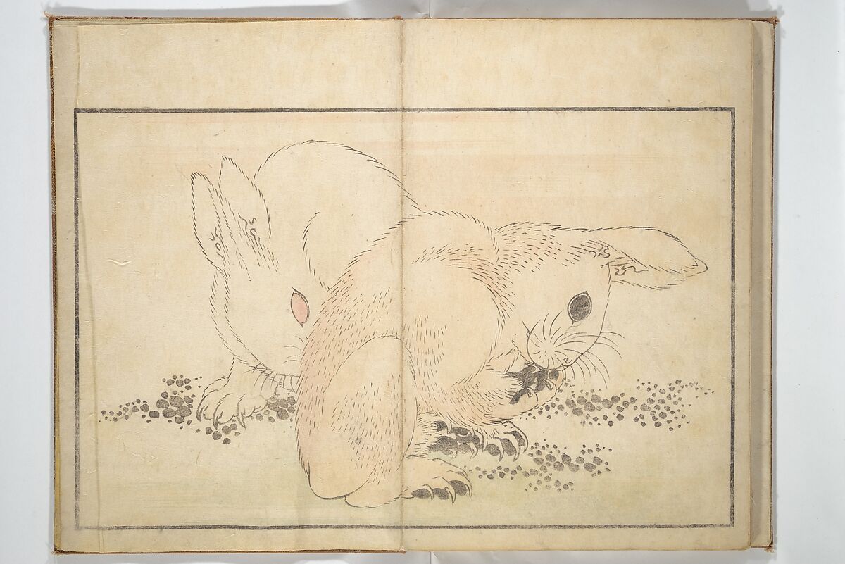 A Realistic Sketchbook by Hokusai (Hokusai shashin gafu) 北斎写真画譜, Katsushika Hokusai 葛飾北斎 (Japanese, Tokyo (Edo) 1760–1849 Tokyo (Edo)), Woodblock printed book (orihon, accordion-style); ink and color on paper, Japan