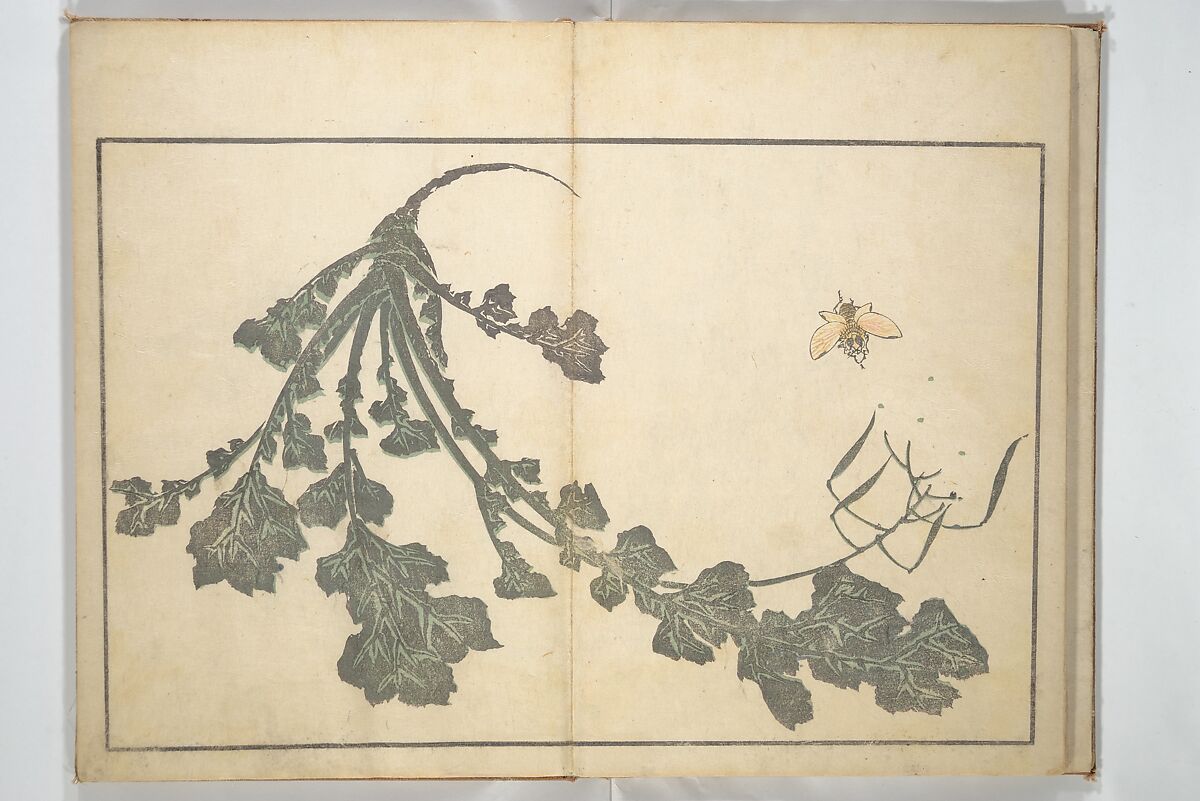 A Realistic Sketchbook by Hokusai (Hokusai shashin gafu) 北斎写真画譜, Katsushika Hokusai 葛飾北斎 (Japanese, Tokyo (Edo) 1760–1849 Tokyo (Edo)), Woodblock printed book (orihon, accordion-style); ink and color on paper, Japan