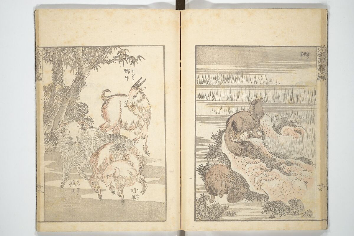 Transmitting the Spirit, Revealing the Form of Things, Volume 1 to 15 of Hokusai Sketchbooks (Denshin kaishu: Hokusai manga, shohen–jugohen) 伝神開手北斎漫画 初編-十五編, Katsushika Hokusai 葛飾北斎 (Japanese, Tokyo (Edo) 1760–1849 Tokyo (Edo)), Set of fifteen woodblock printed books; ink and color on paper, Japan