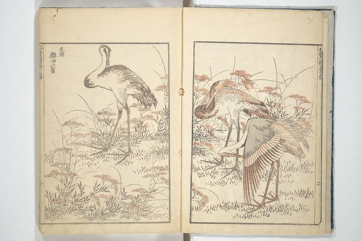 Transmitting the Spirit, Revealing the Form of Things, Volume 1 to 15 of Hokusai Sketchbooks (Denshin kaishu: Hokusai manga, shohen–jugohen) 伝神開手北斎漫画 初編-十五編, Katsushika Hokusai 葛飾北斎 (Japanese, Tokyo (Edo) 1760–1849 Tokyo (Edo)), Set of fifteen woodblock printed books; ink and color on paper, Japan