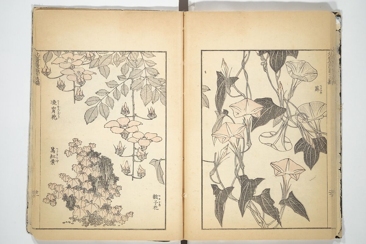 Transmitting the Spirit, Revealing the Form of Things, Volume 1 to 15 of Hokusai Sketchbooks (Denshin kaishu: Hokusai manga, shohen–jugohen) 伝神開手北斎漫画 初編-十五編, Katsushika Hokusai 葛飾北斎 (Japanese, Tokyo (Edo) 1760–1849 Tokyo (Edo)), Set of fifteen woodblock printed books; ink and color on paper, Japan