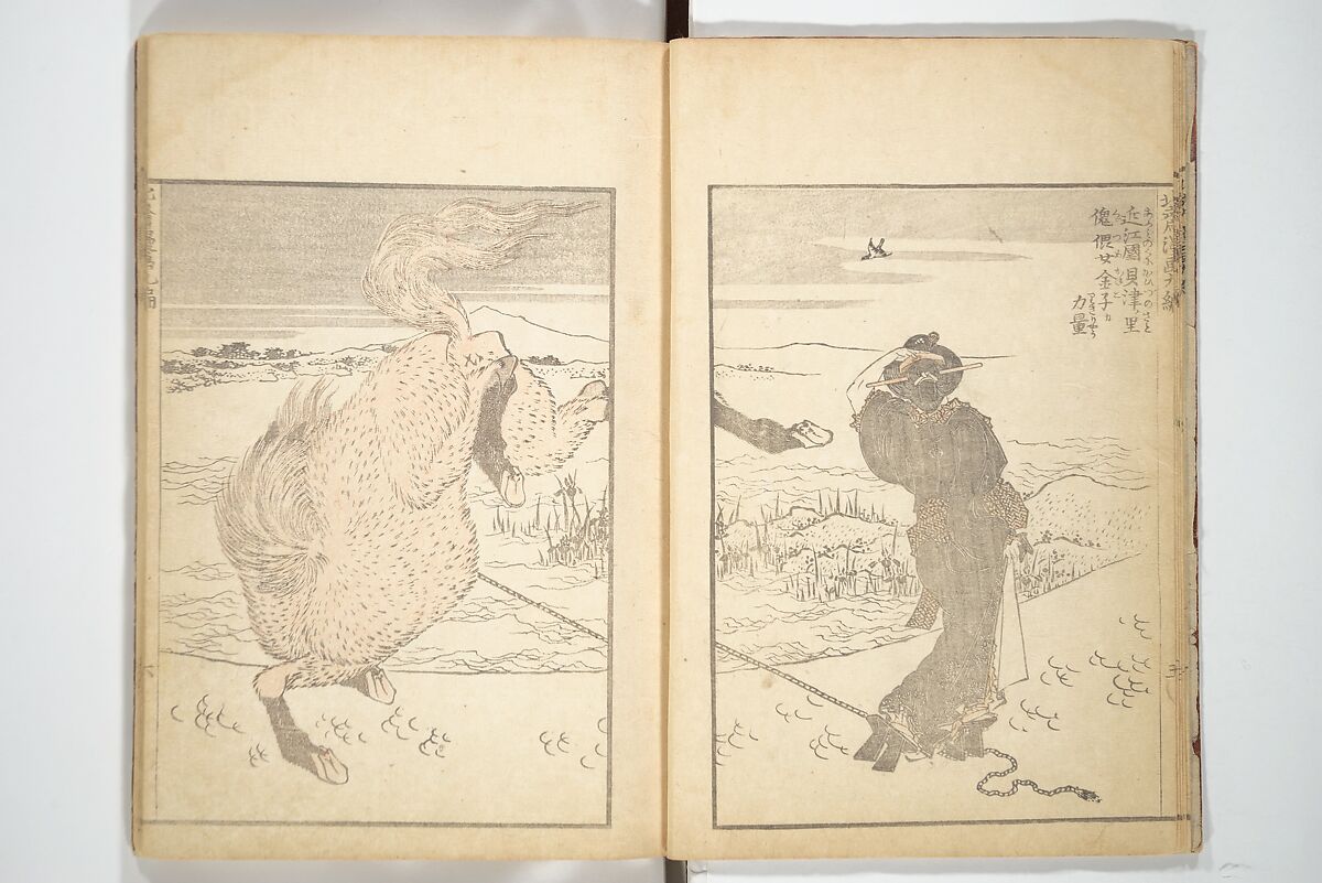 Transmitting the Spirit, Revealing the Form of Things, Volume 1 to 15 of Hokusai Sketchbooks (Denshin kaishu: Hokusai manga, shohen–jugohen) 伝神開手北斎漫画 初編-十五編, Katsushika Hokusai 葛飾北斎 (Japanese, Tokyo (Edo) 1760–1849 Tokyo (Edo)), Set of fifteen woodblock printed books; ink and color on paper, Japan