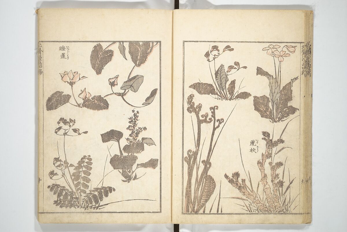 Transmitting the Spirit, Revealing the Form of Things, Volume 1 to 15 of Hokusai Sketchbooks (Denshin kaishu: Hokusai manga, shohen–jugohen) 伝神開手北斎漫画 初編-十五編, Katsushika Hokusai 葛飾北斎 (Japanese, Tokyo (Edo) 1760–1849 Tokyo (Edo)), Set of fifteen woodblock printed books; ink and color on paper, Japan