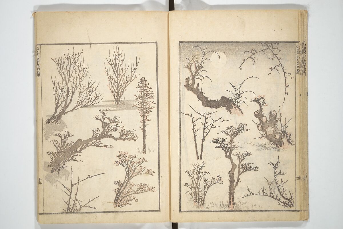 Transmitting the Spirit, Revealing the Form of Things, Volume 1 to 15 of Hokusai Sketchbooks (Denshin kaishu: Hokusai manga, shohen–jugohen) 伝神開手北斎漫画 初編-十五編, Katsushika Hokusai 葛飾北斎 (Japanese, Tokyo (Edo) 1760–1849 Tokyo (Edo)), Set of fifteen woodblock printed books; ink and color on paper, Japan