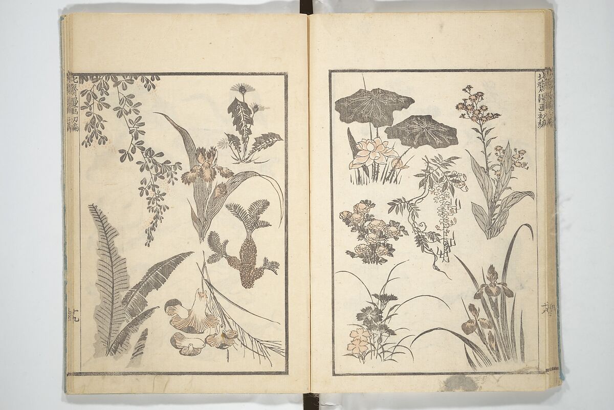 Transmitting the Spirit, Revealing the Form of Things, Volume 1 to 15 of Hokusai Sketchbooks (Denshin kaishu: Hokusai manga, shohen–jugohen) 伝神開手北斎漫画 初編-十五編, Katsushika Hokusai 葛飾北斎 (Japanese, Tokyo (Edo) 1760–1849 Tokyo (Edo)), Set of fifteen woodblock printed books; ink and color on paper, Japan