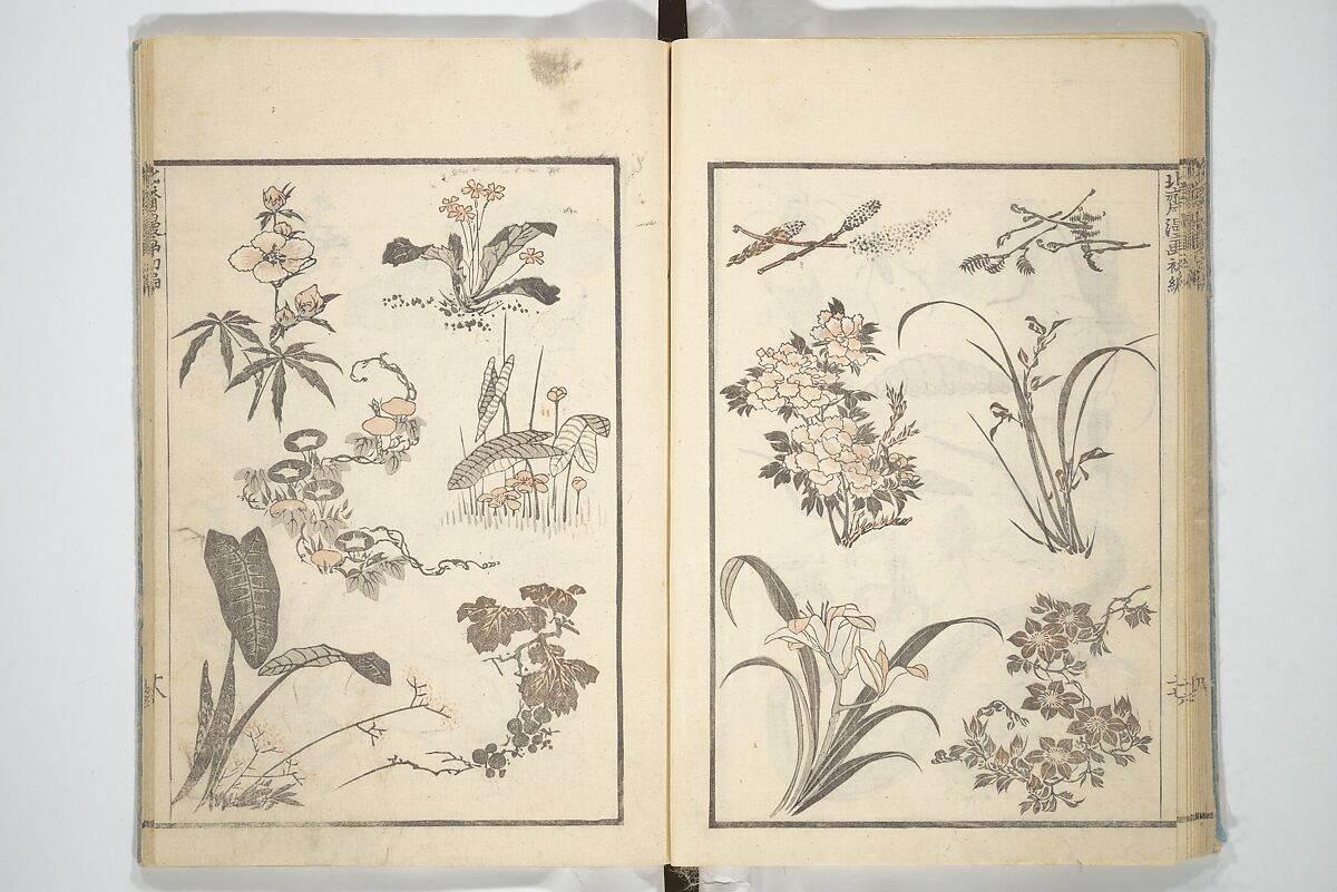 Transmitting the Spirit, Revealing the Form of Things, Volume 1 to 15 of Hokusai Sketchbooks (Denshin kaishu: Hokusai manga, shohen–jugohen) 伝神開手北斎漫画 初編-十五編, Katsushika Hokusai 葛飾北斎 (Japanese, Tokyo (Edo) 1760–1849 Tokyo (Edo)), Set of fifteen woodblock printed books; ink and color on paper, Japan